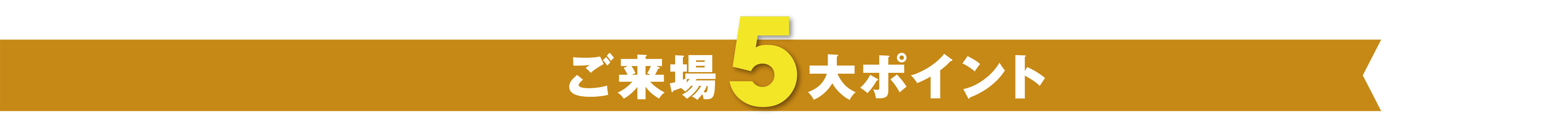 ご来場5大特典