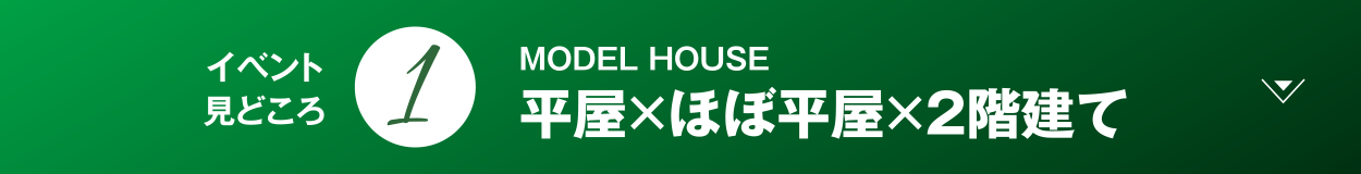 NEW MODEL HOUSE 平屋×2階建て